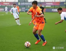  里尔对里昂的比分预测 
